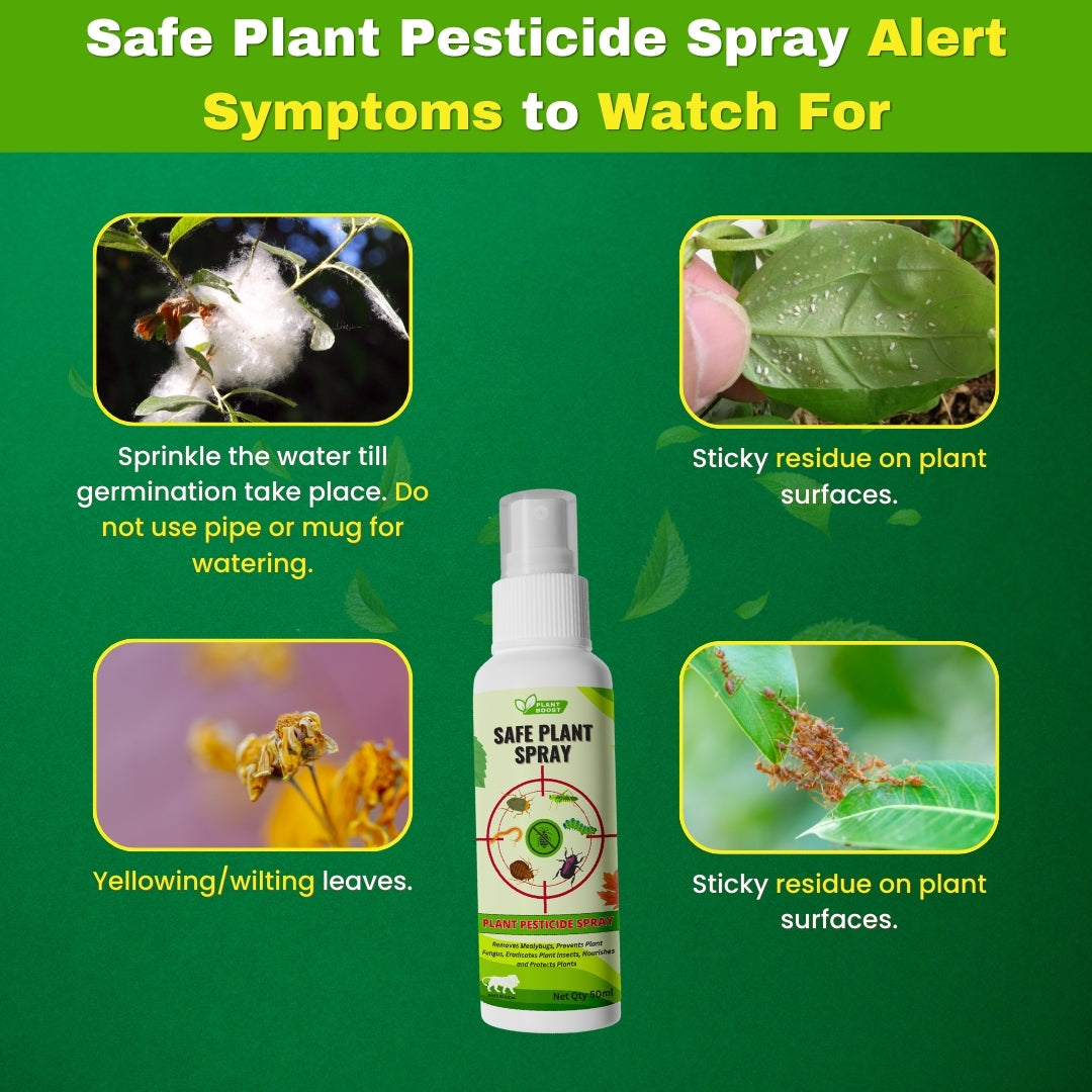 Natural Plant Care Combo - Plant Boost with Safe Plant Sprays🌱🌱