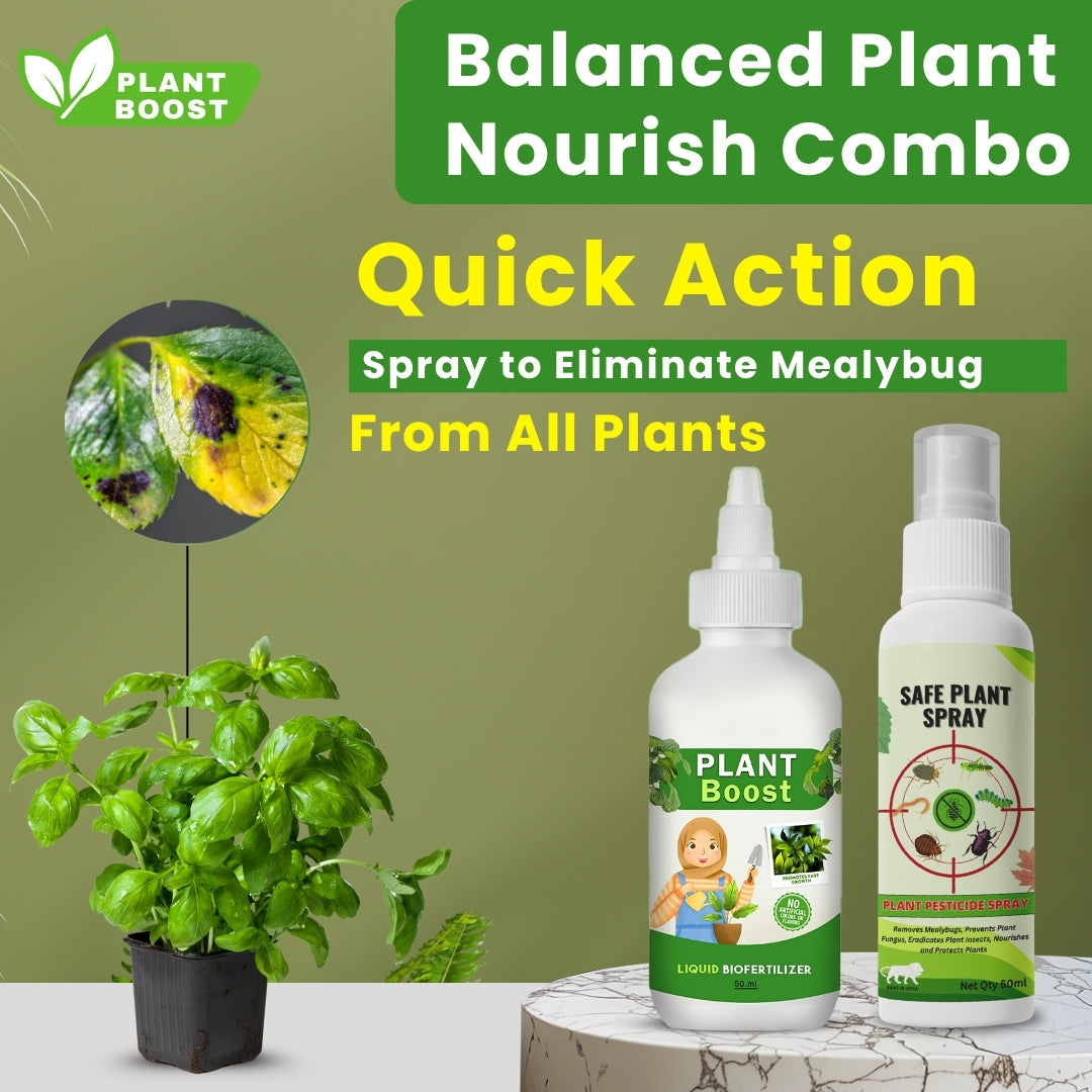 Natural Plant Care Combo - Plant Boost with Safe Plant Sprays🌱🌱