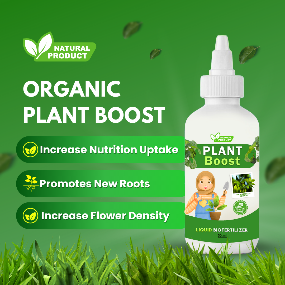 Natural Plant Care Combo - Plant Boost with Safe Plant Sprays🌱🌱