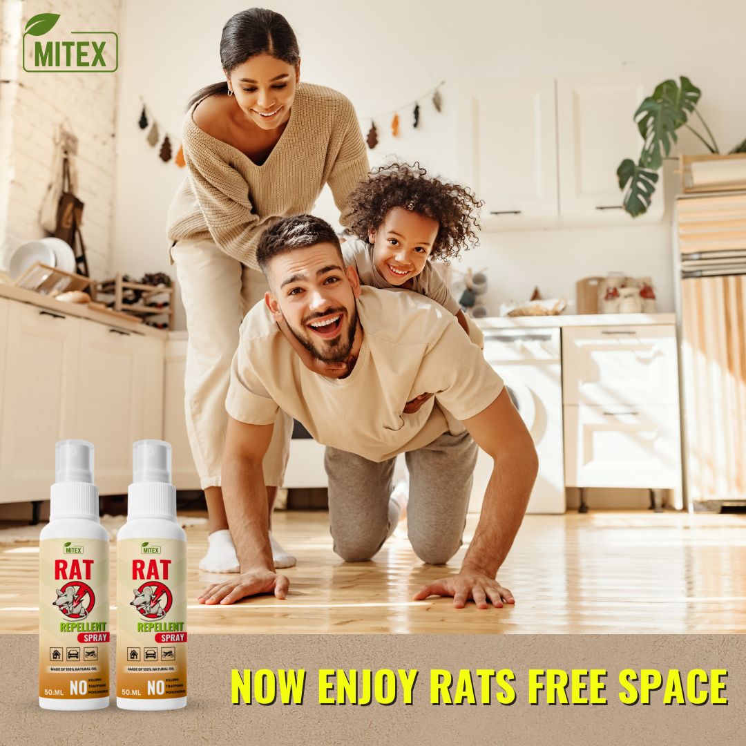 Rat Repellent Spray – Safe, Effective, and Eco-friendly🐭🐭