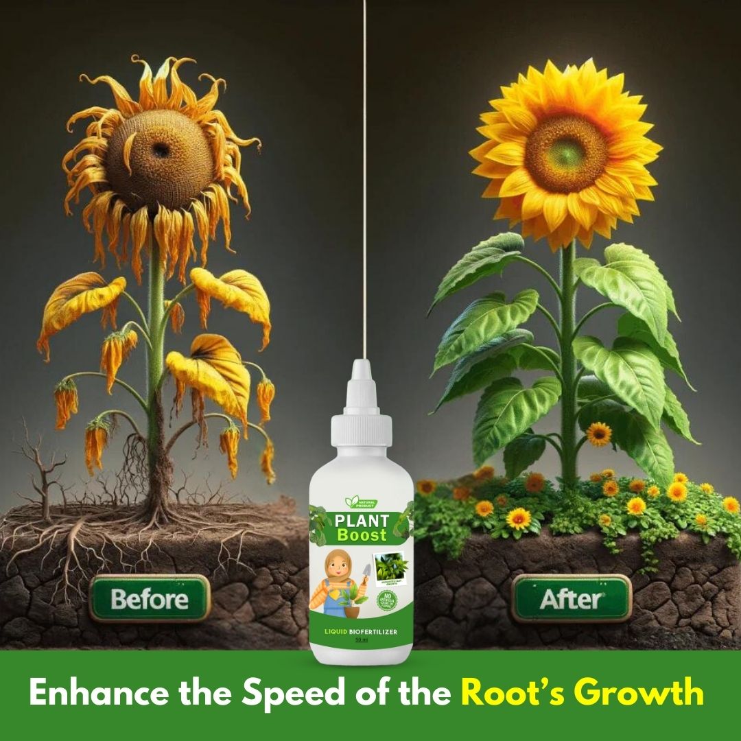 Natural Plant Care Combo - Plant Boost with Safe Plant Sprays🌱🌱